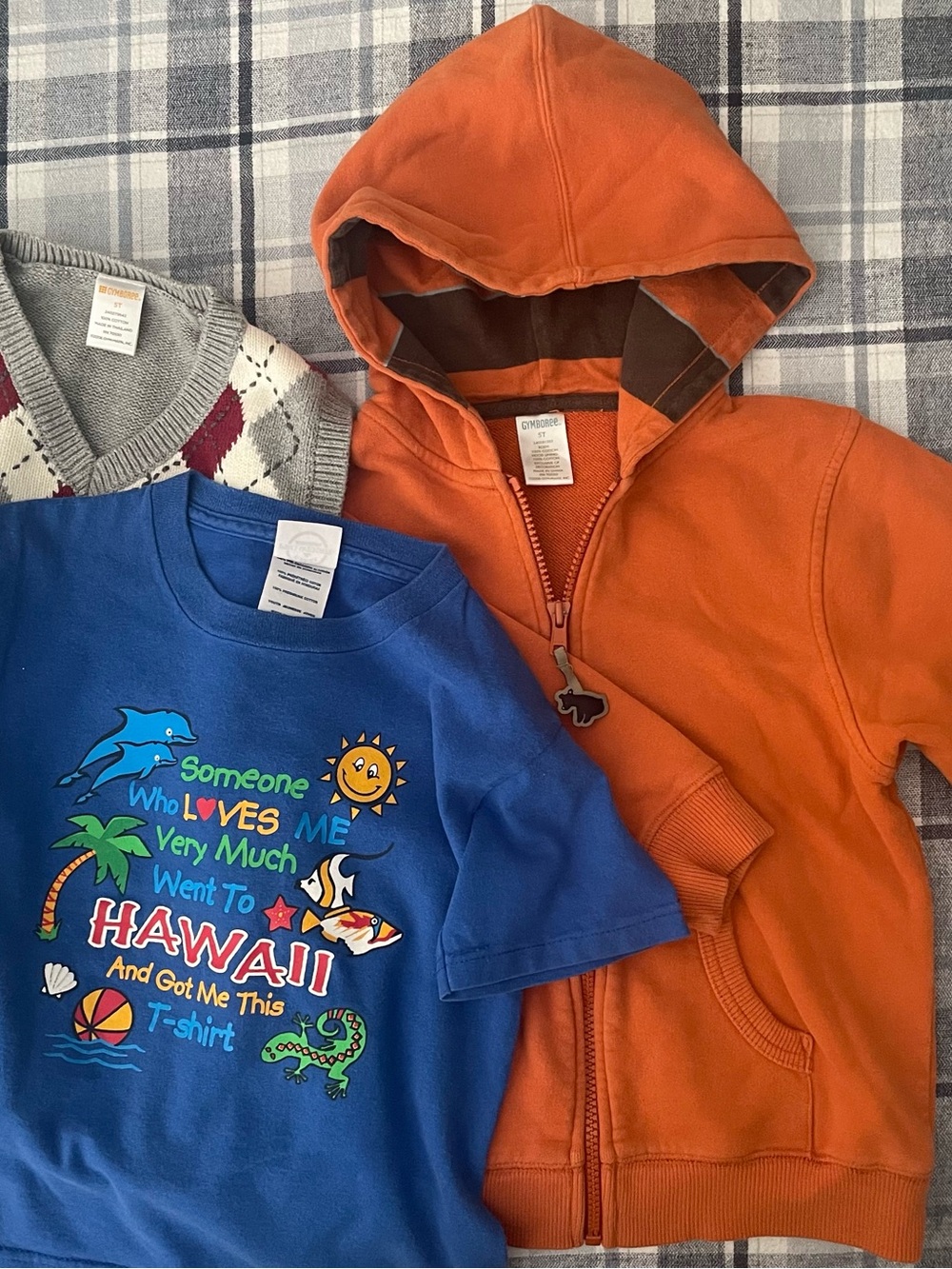 Gymboree Orange Hoodie, Gymboree Sweater and Hawaii Shirt
